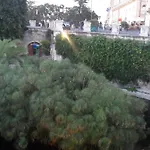 La Borgata