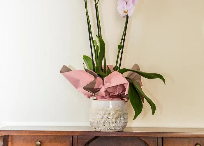 B&B La Borgata Bed & Breakfast Syracuse