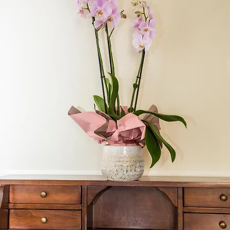 La Borgata Couette-café Syracuse